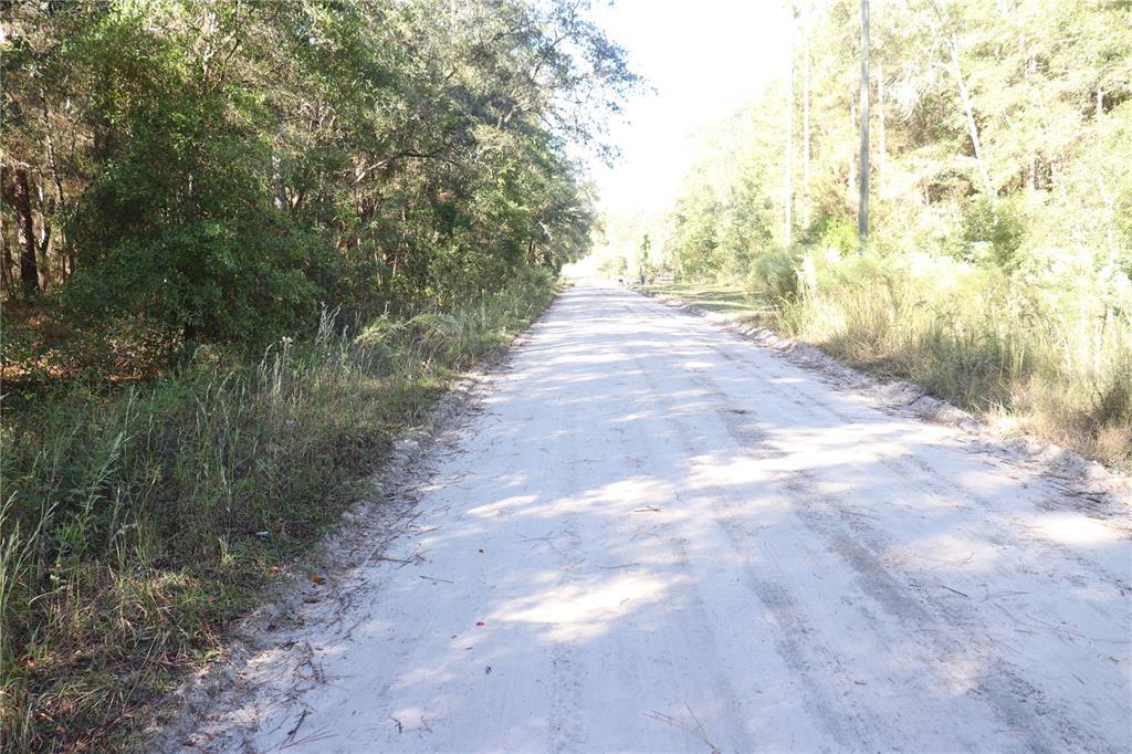 A dirt road stretches through a wooded area with tall trees on both sides — 00 SW 39 STREET, DUNNELLON, FL