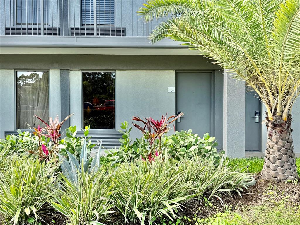 A ground-level exterior view of a building with gray walls, windows, and tropical landscaping — 7150 N TAMIAMI TRAIL UNIT C126, SARASOTA, FL