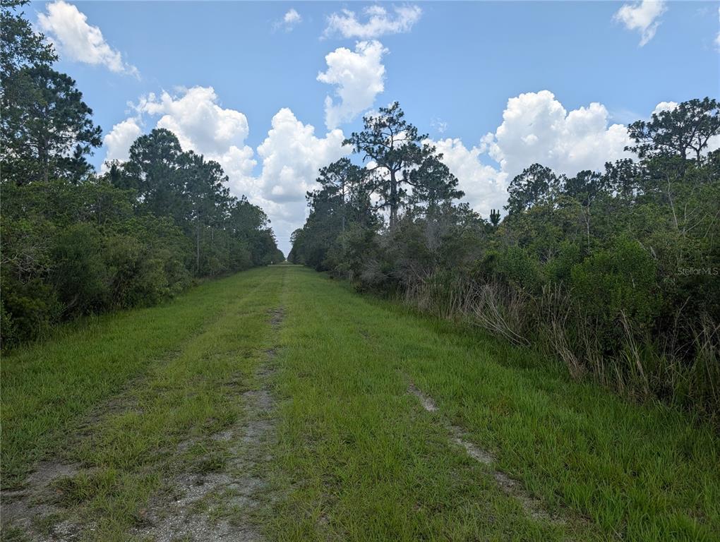 A grassy path leads through a wooded area under a blue sky with clouds — 314 CAMELLIA DRIVE, INDIAN LAKE ESTATES, FL