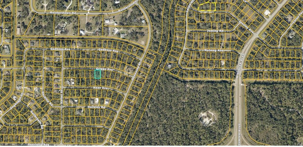 This is an aerial map showing a highlighted vacant lot within a residential neighborhood — GRIGGS AVENUE, NORTH PORT, FL