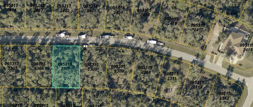 This is an aerial map showing a highlighted vacant lot among other numbered parcels — GRIGGS AVENUE, NORTH PORT, FL
