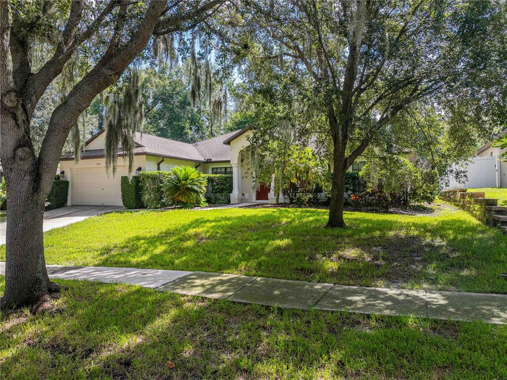 A single-story house with a two-car garage sits behind a lawn and large oak trees — 8834 ALAFIA COVE DRIVE, RIVERVIEW, FL