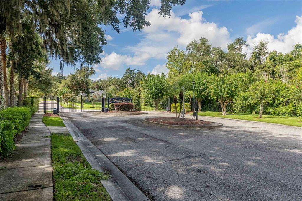 A gated entrance with a sign reading Alafia Cove surrounded by trees and landscaping — 8834 ALAFIA COVE DRIVE, RIVERVIEW, FL