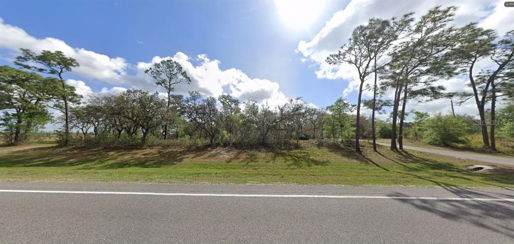 A grassy, tree-lined vacant lot sits adjacent to a paved road under a sunny sky — COMMONWEALTH AVE N, POLK CITY, FL