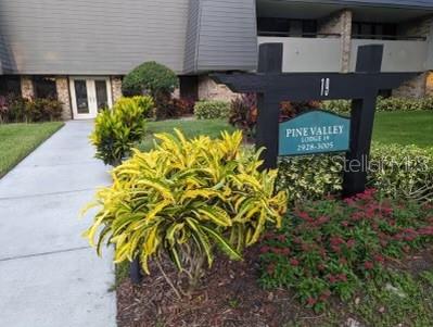 36750 US HIGHWAY 19 N UNIT 19-115