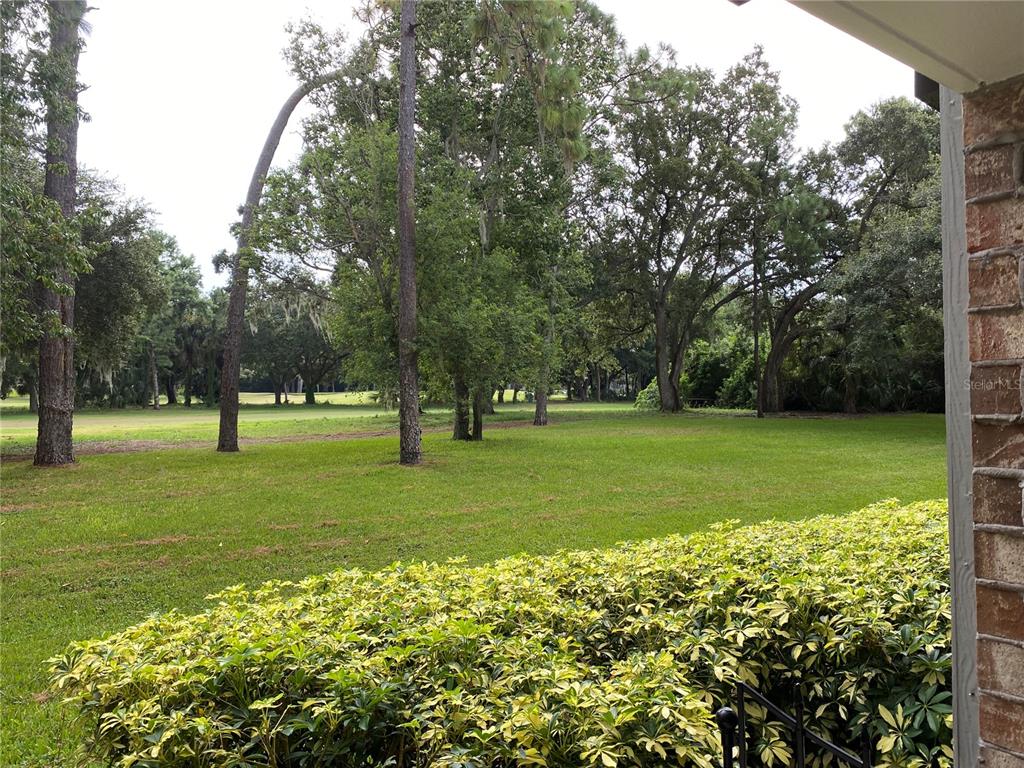 A view of a grassy yard with mature trees from a brick-walled patio — 36750 US HIGHWAY 19 N UNIT 19-115, PALM HARBOR, FL