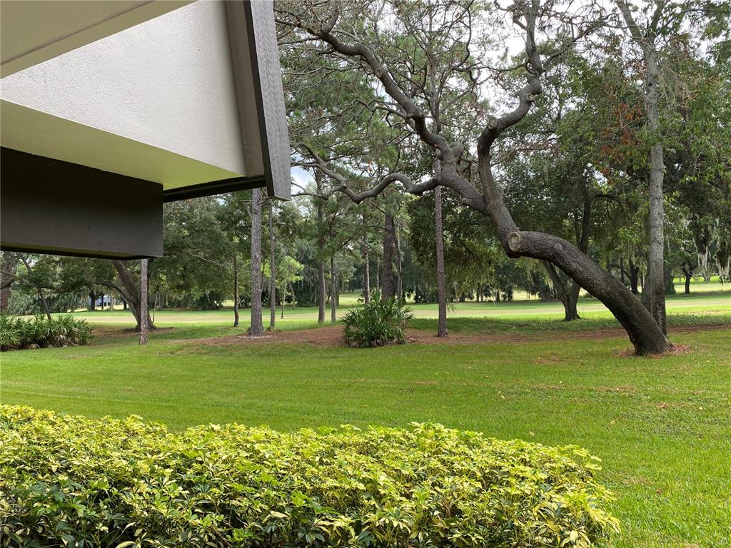 A view of a grassy golf course from under the eaves of a building — 36750 US HIGHWAY 19 N UNIT 19-115, PALM HARBOR, FL