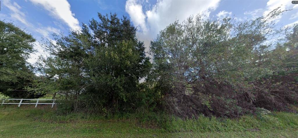 A view of a grassy lot with dense trees and a white fence — TALL PINE ROAD, POLK CITY, FL