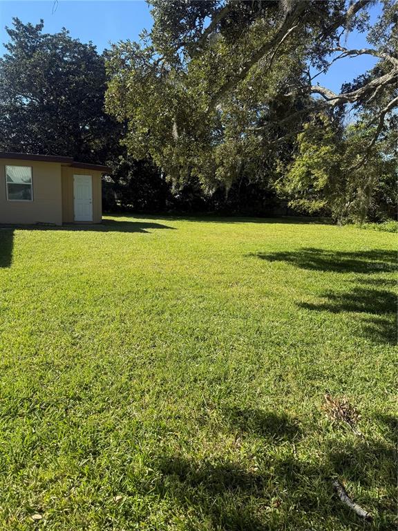 A grassy backyard features a small tan building with a white door and large trees — 305 ANN STREET, EDGEWATER, FL