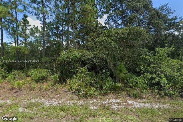217 DREAMERS DR, Lake Placid FL 33852