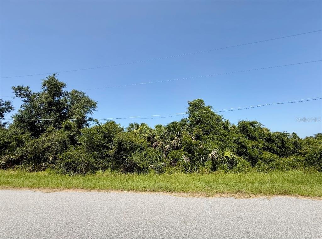A paved road runs in front of a dense, overgrown lot with trees and shrubs — 2179 BUSHER STREET, PORT CHARLOTTE, FL