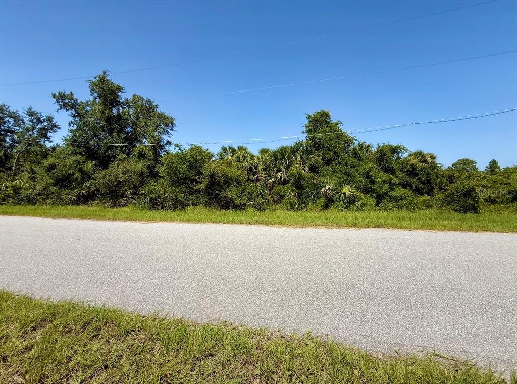 A paved road runs in front of a dense, wooded lot under a clear blue sky — 2179 BUSHER STREET, PORT CHARLOTTE, FL