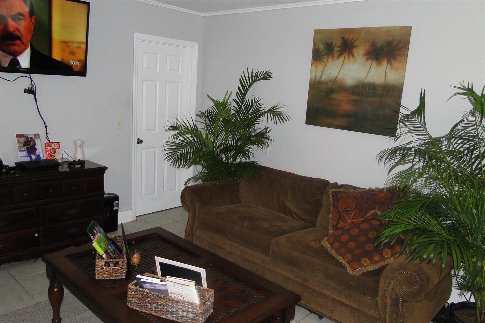 A living room features a brown sofa, a coffee table, two potted plants, and a television — 1829 N A Street # 32, FL 33460, FL