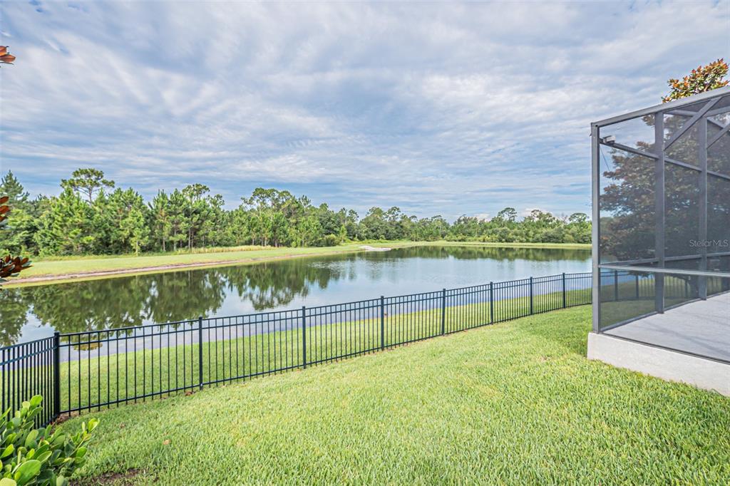 A fenced backyard overlooks a pond with a wooded background and a screened patio enclosure — 10174 LOVEGRASS LANE, ORLANDO, FL