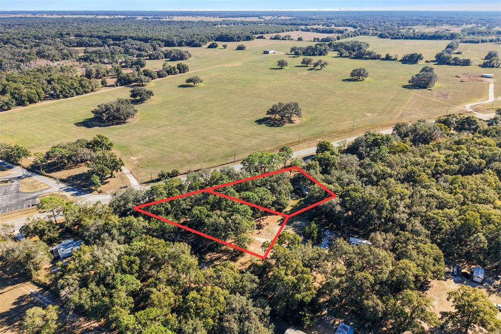 An aerial view shows a wooded lot outlined in red next to a large field — 00 S US 301, SUMTERVILLE, FL