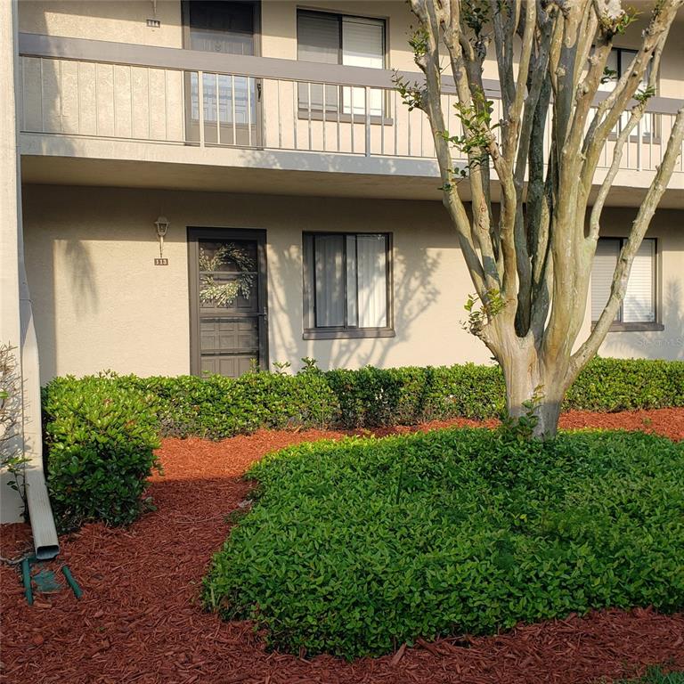 An exterior view of a two-story apartment building with a landscaped yard and a tree — 113 NINA WAY UNIT 113, OLDSMAR, FL