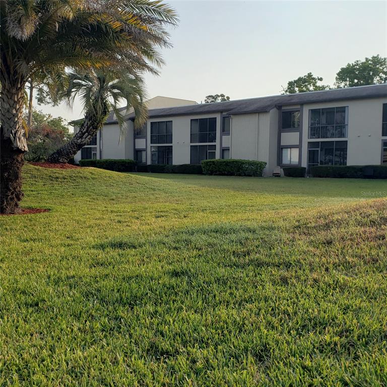 A multi-story apartment building sits behind a grassy lawn with a large palm tree — 113 NINA WAY UNIT 113, OLDSMAR, FL