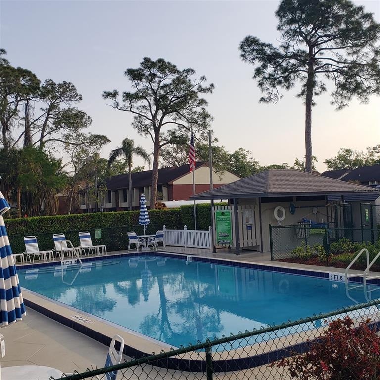 A rectangular outdoor swimming pool is surrounded by lounge chairs, a fence, and a cabana — 113 NINA WAY UNIT 113, OLDSMAR, FL