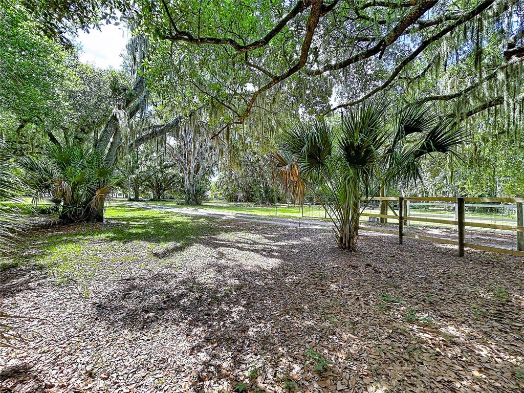 A dirt driveway passes through a grassy area with large trees and a wooden fence — 11008 BROWNING ROAD, LITHIA, FL