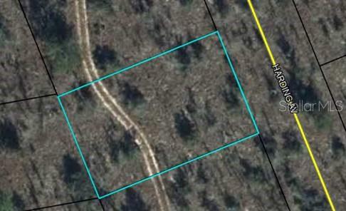 This aerial map shows a rectangular plot of land outlined in blue next to a road — Lot 6 HARDING AVENUE, CHIPLEY, FL