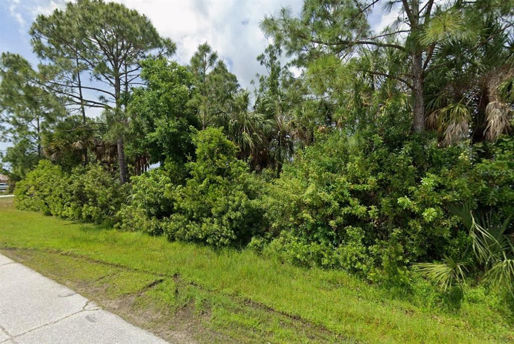 A grassy roadside area leads to a dense thicket of trees and shrubs — 11378 ZOLA AVENUE, PORT CHARLOTTE, FL