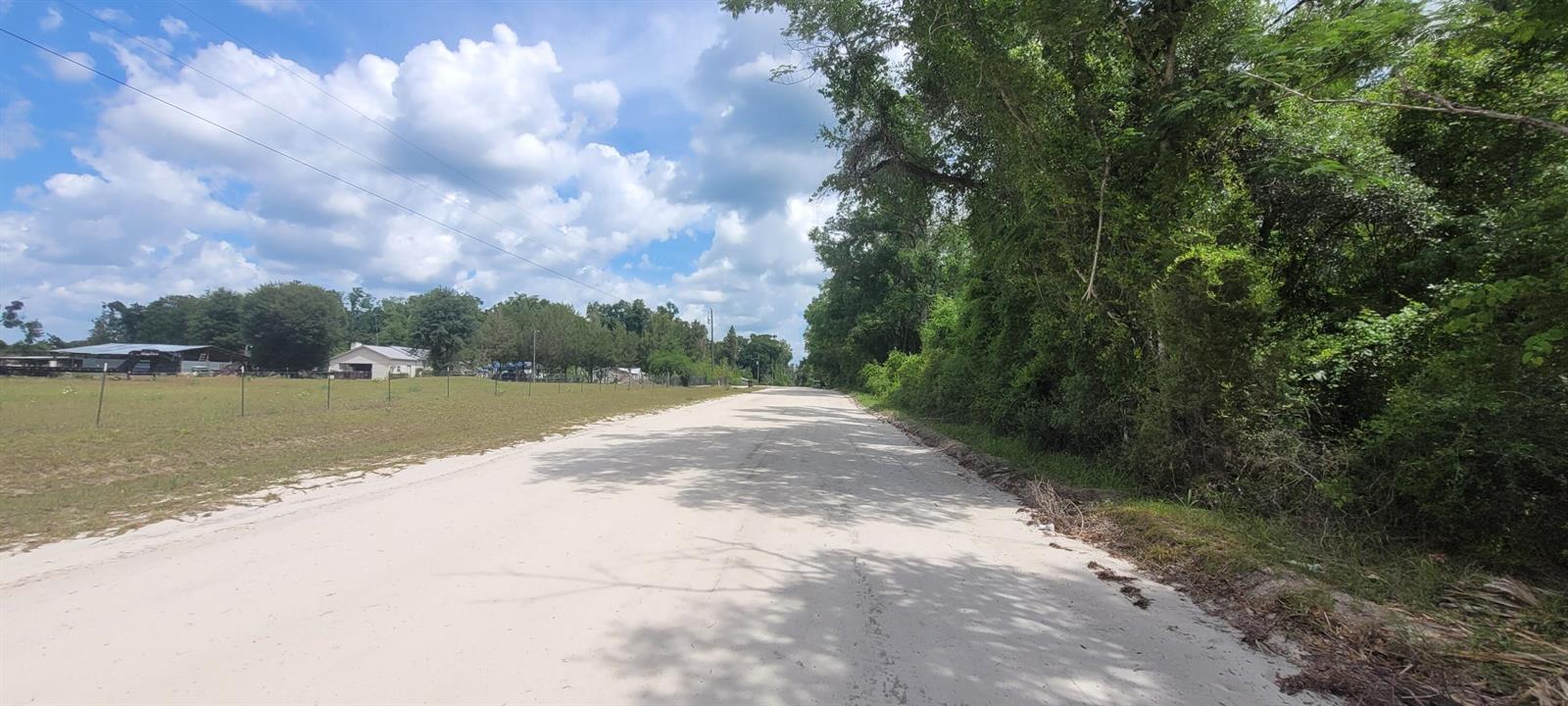 A dirt road runs between a grassy field with buildings and a dense line of trees — Tbd Suntilt Court, FL 32096, FL
