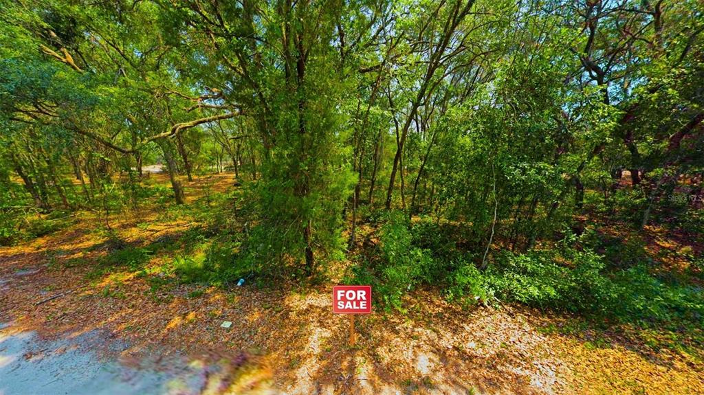 A red for sale sign stands in front of a wooded, undeveloped residential lot — TBD LOT 34 MALAUKA RADIAL, OCKLAWAHA, FL