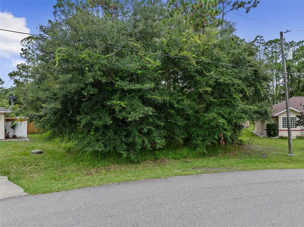 A dense, overgrown thicket of trees and shrubs sits on a vacant residential lot — 89 RYECLIFFE DRIVE, PALM COAST, FL