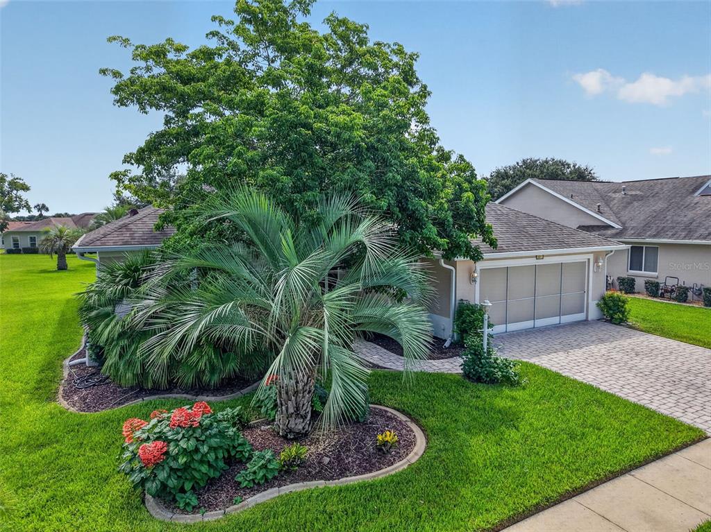 A single-story house features a paved driveway, a palm tree, and a large shade tree — 26915 HONEYMOON AVENUE, LEESBURG, FL