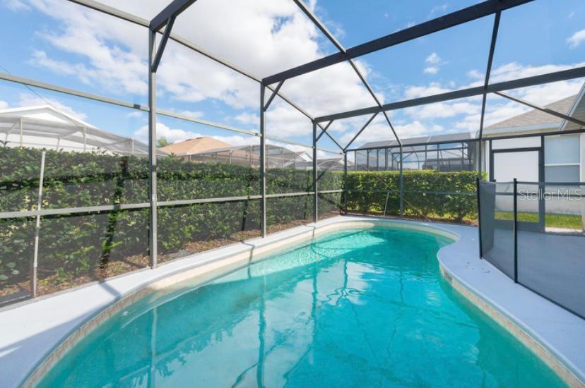 A swimming pool enclosed by a screened lanai with a privacy hedge in the background — 8121 FAN PALM WAY, KISSIMMEE, FL