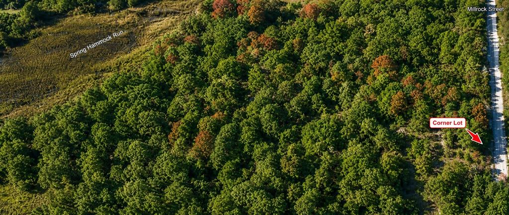 An aerial view shows a wooded lot bordered by a road and a grassy area — MILLROCK STREET, WEBSTER, FL
