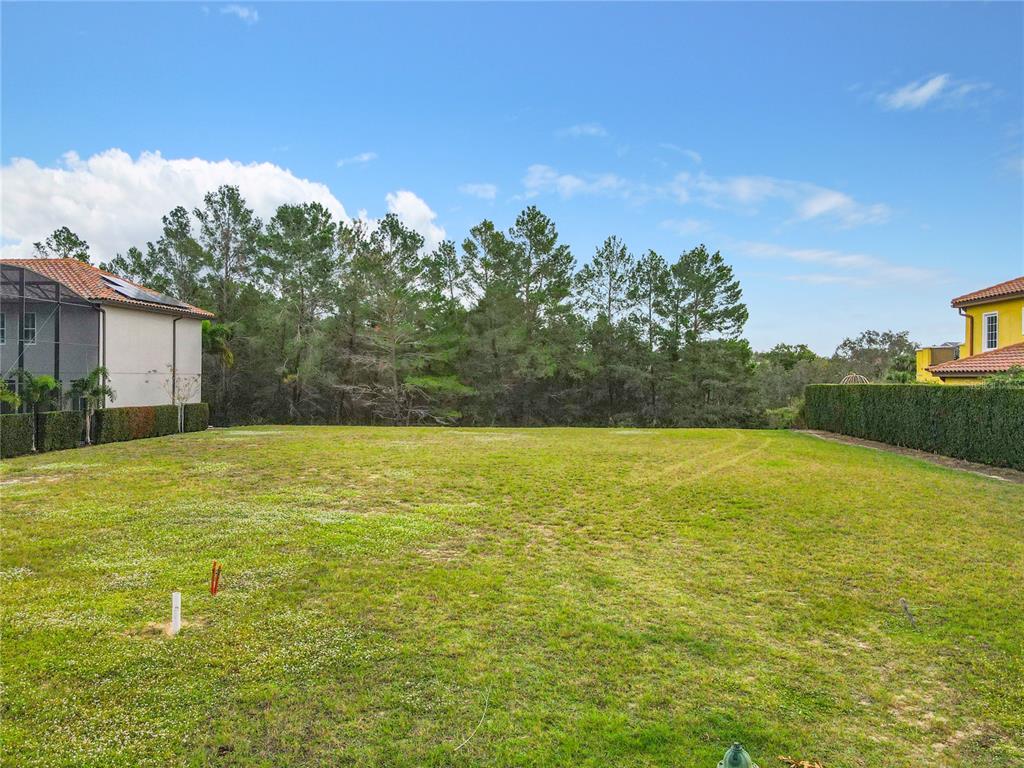 A vacant, grassy residential lot is bordered by tall hedges and a line of trees — 1111 WATSON COURT, KISSIMMEE, FL