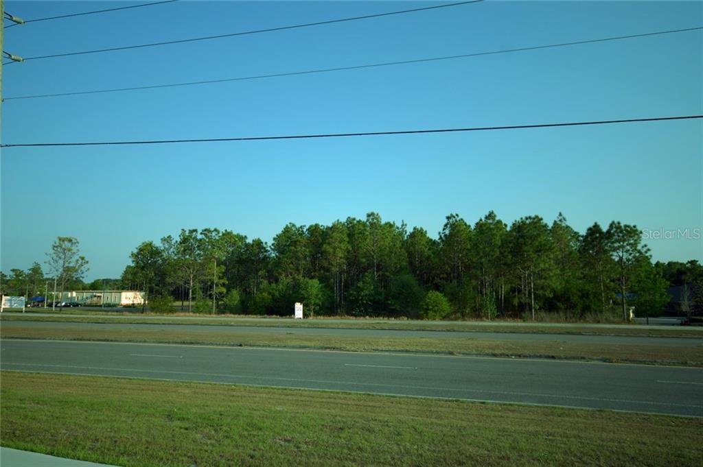 A vacant, grassy lot sits alongside a paved road with a dense treeline in the background — 30150 OVERPASS ROAD, WESLEY CHAPEL, FL
