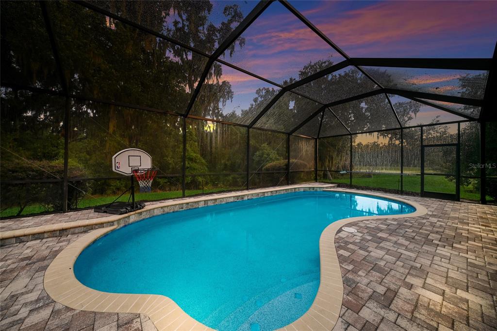 A screened-in swimming pool with a basketball hoop sits on a paved patio at sunset — 17463 NEW CROSS CIRCLE, LITHIA, FL