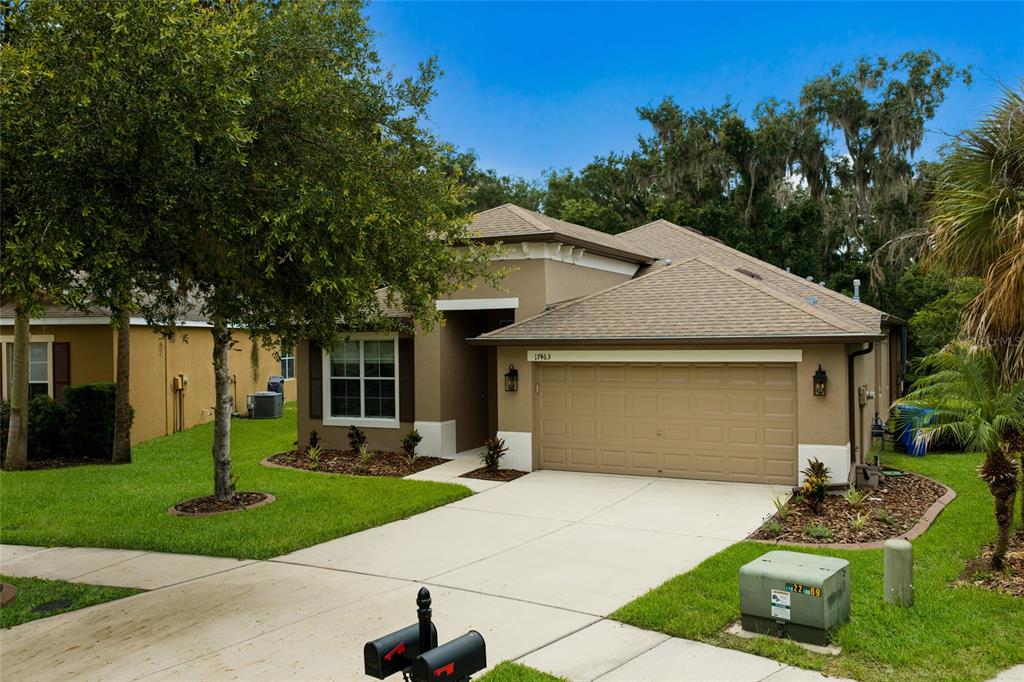 A tan single-story house with a two-car garage and a landscaped front yard — 17463 NEW CROSS CIRCLE, LITHIA, FL