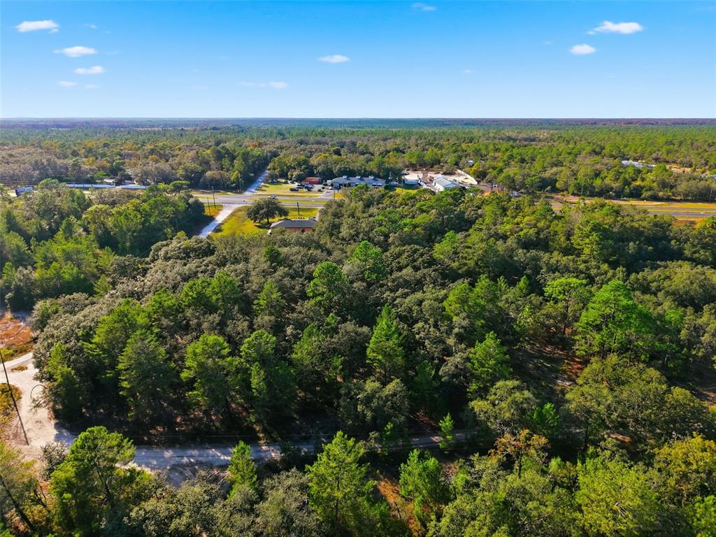 An aerial view shows a densely wooded lot with a dirt road in the foreground — 11254 COMMERCIAL WAY, WEEKI WACHEE, FL