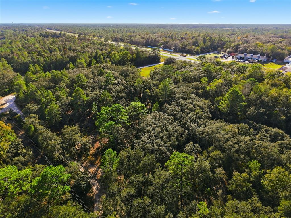 An aerial view shows a densely wooded lot adjacent to a paved road and buildings — 11254 COMMERCIAL WAY, WEEKI WACHEE, FL