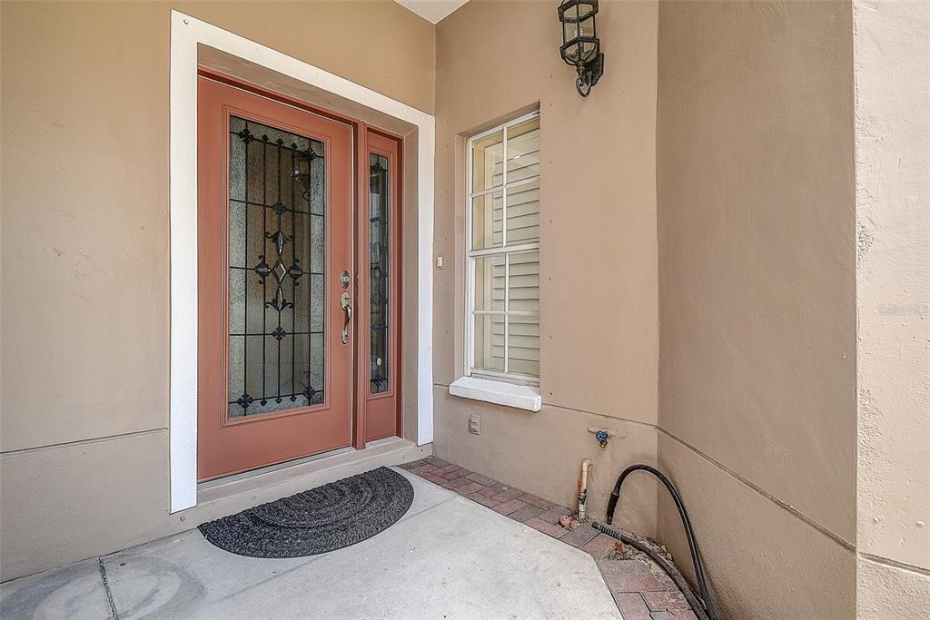 A front entryway features a reddish-brown door with glass inserts, a window, and concrete flooring — 256 VALENCIA CIRCLE, ST PETERSBURG, FL