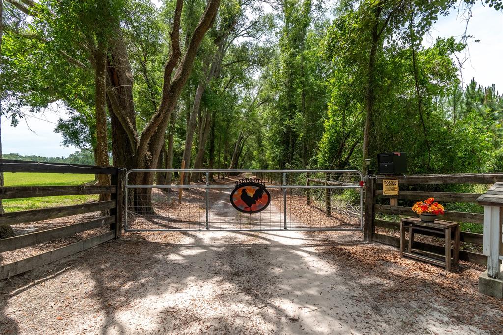 A metal gate with a rooster emblem blocks a dirt driveway lined by tall trees — 11990 156TH STREET, MC ALPIN, FL