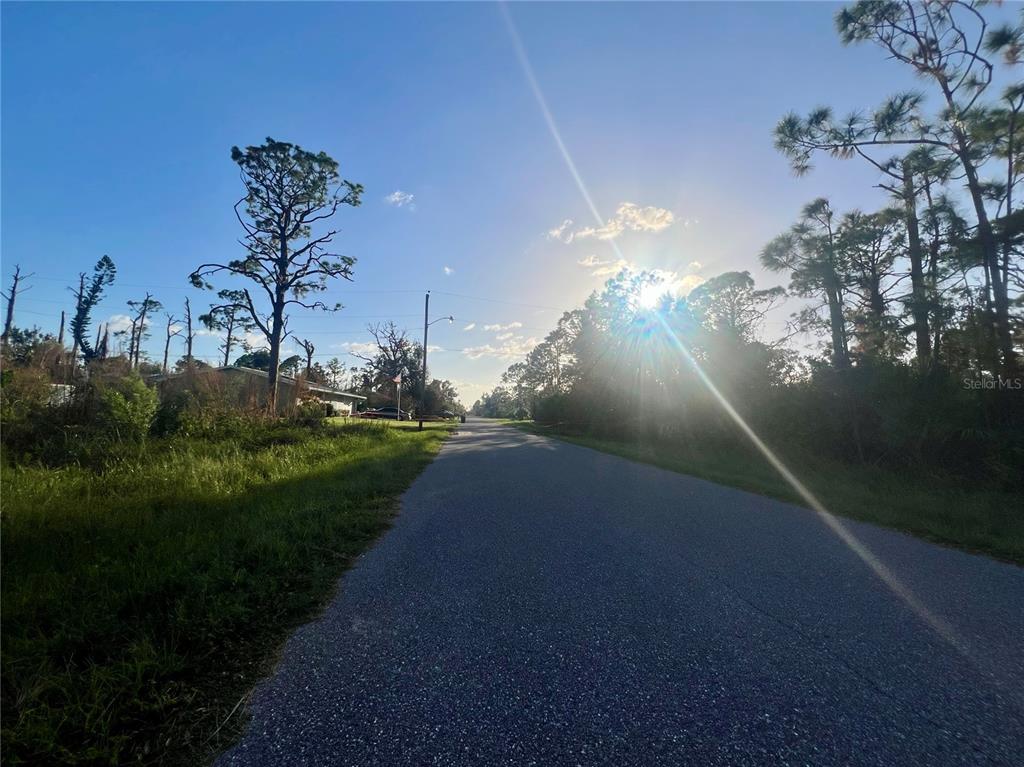 A paved road stretches into the distance, flanked by grassy lots and tall pine trees — 5186 VENUS TERRACE, PORT CHARLOTTE, FL