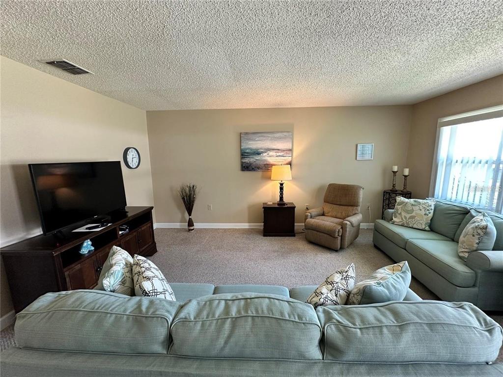 A living room features light-colored walls, carpeted flooring, a television, and two light-green sofas — 11725 BOYNTON LANE UNIT 71A, NEW PORT RICHEY, FL