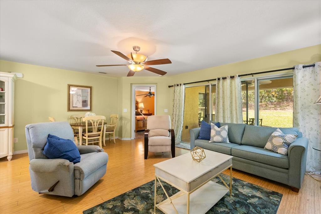A living room features light green walls, wood flooring, a ceiling fan, and sliding glass doors — 26921 WHITE PLAINS WAY, LEESBURG, FL