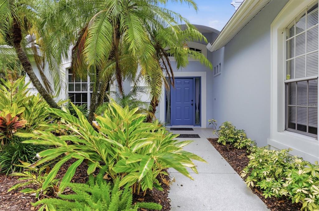 A concrete walkway leads to a blue front door surrounded by lush tropical landscaping — 7147 PRESTWICK COURT, UNIVERSITY PARK, FL