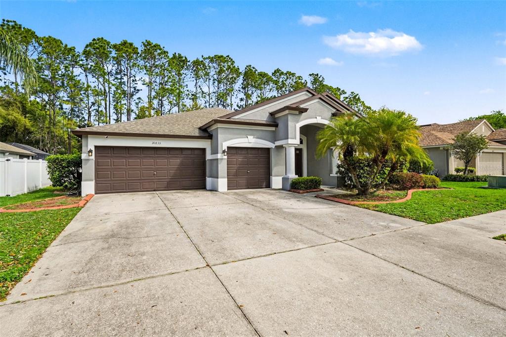 A single-story suburban house with a concrete driveway, two garage doors, and a palm tree — 20835 RIVERFOREST DRIVE, LAND O LAKES, FL