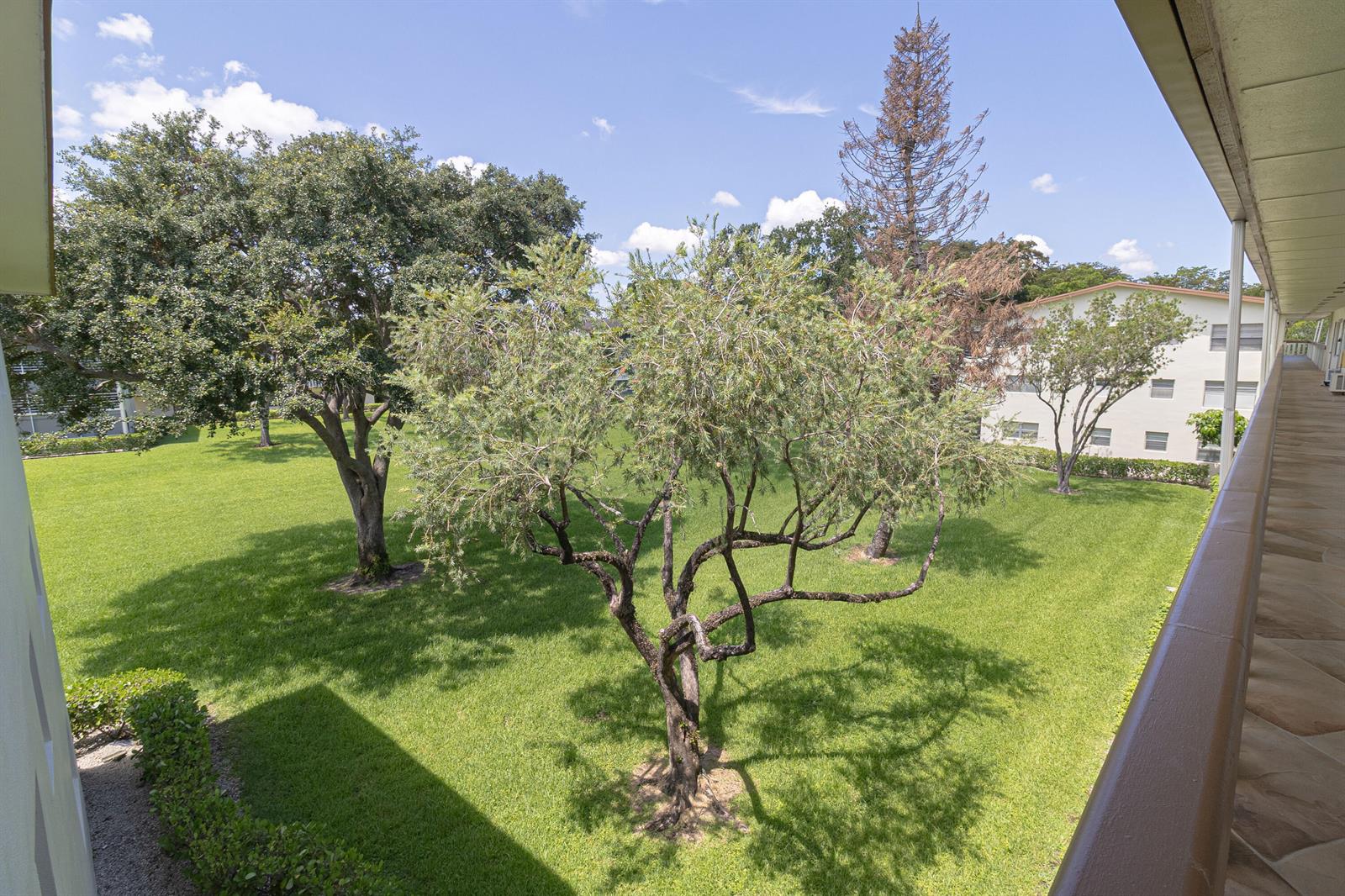 An elevated view from a balcony overlooking a grassy courtyard with several trees — 158 Mansfield D Drive, Boca Raton FL 33434, BOCA RATON, FL