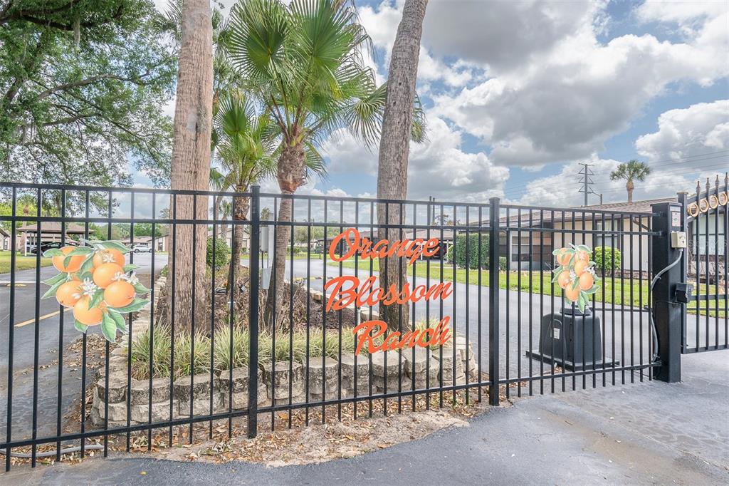 A black metal gate features orange-themed signage for Orange Blossom Ranch with palm trees behind — 37730 ALISSA DRIVE, ZEPHYRHILLS, FL