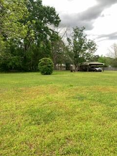 A large, grassy backyard features a detached metal carport and several mature trees — 1026 Washington Avenue, FL 32440, FL