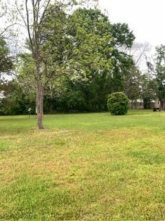 A grassy, open lot features a large tree in the foreground and dense surrounding trees — 1026 Washington Avenue, FL 32440, FL
