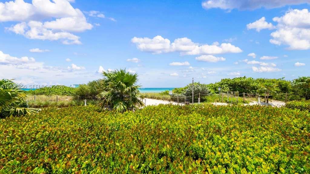 A sandy path leads through lush green vegetation toward the ocean under a blue sky — 6917 Collins Ave # 107, Miami Beach FL 33141, MIAMI BEACH, FL
