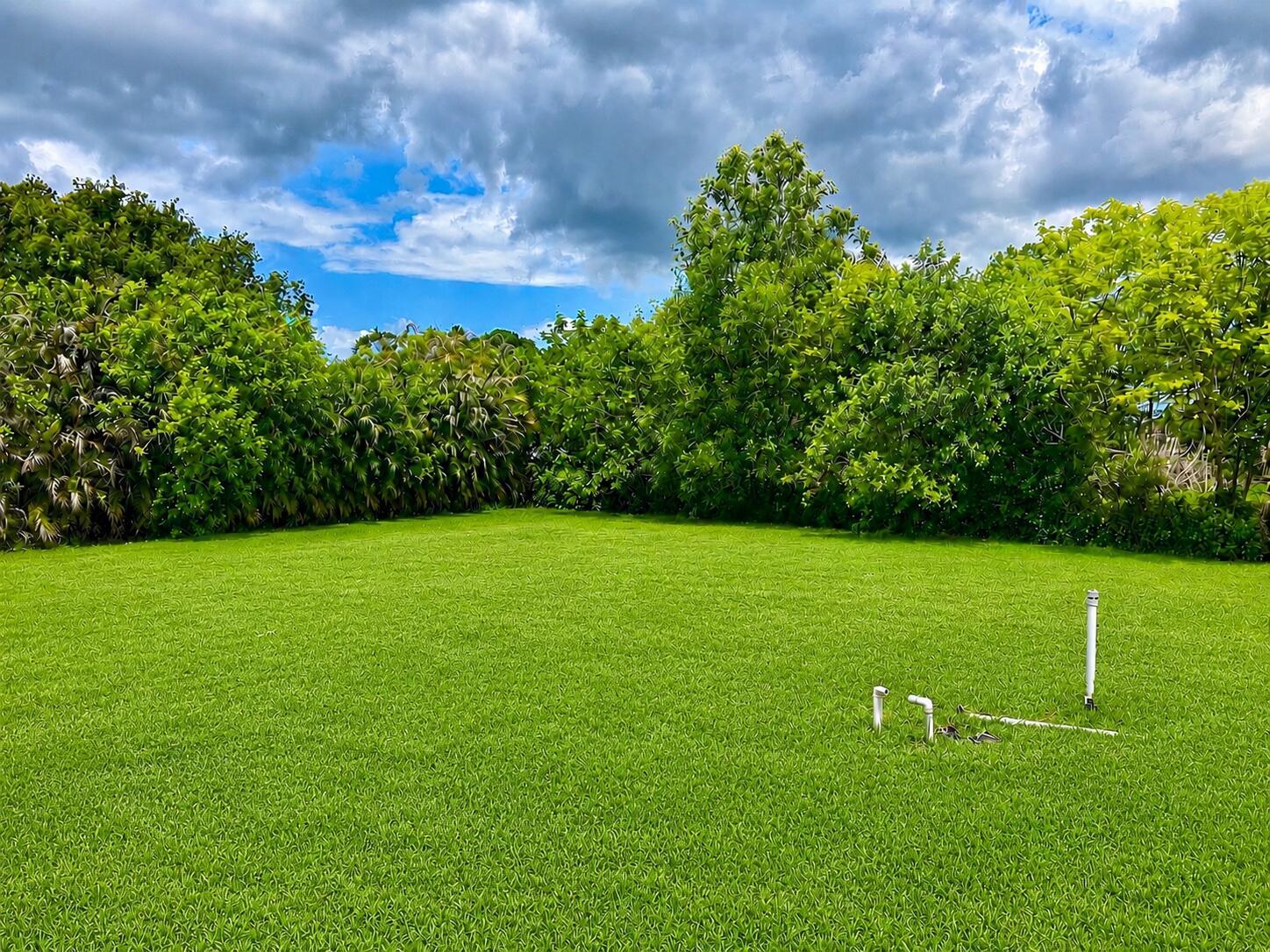 A grassy backyard features a dense line of trees and a small white plumbing fixture — 18633 N 92nd Ln Lane N, FL 33470, FL